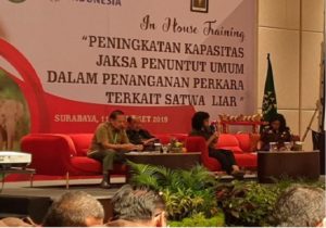Read more about the article Pentingnya Penguatan Hukum dalam Perlindungan Satwa Liar di Indonesia