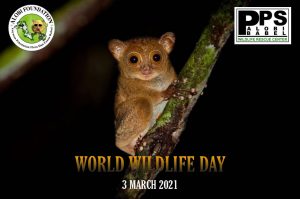Read more about the article Selamat Hari Alam Liar Sedunia (World Wildlife Day)