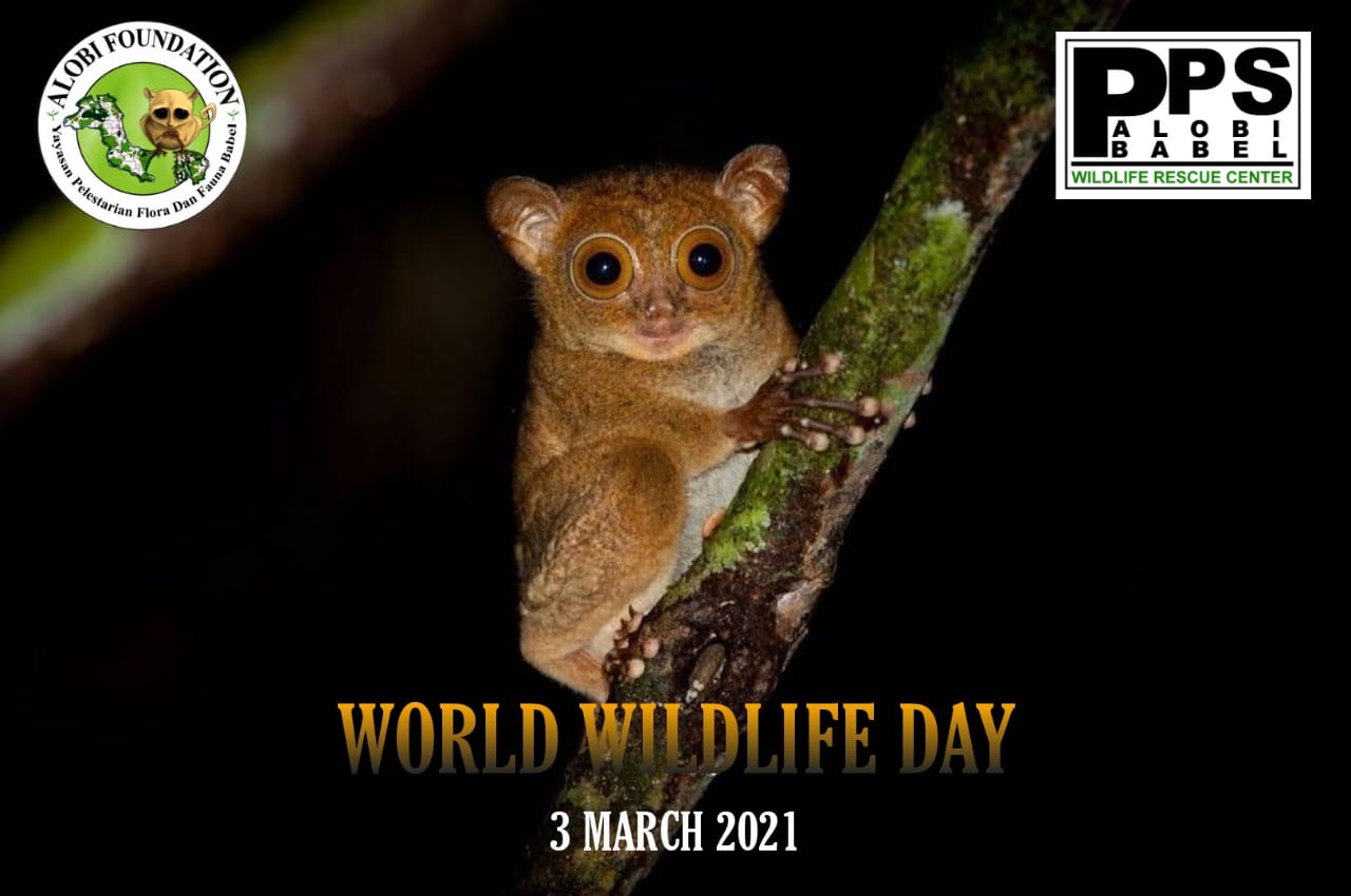 You are currently viewing Selamat Hari Alam Liar Sedunia (World Wildlife Day)