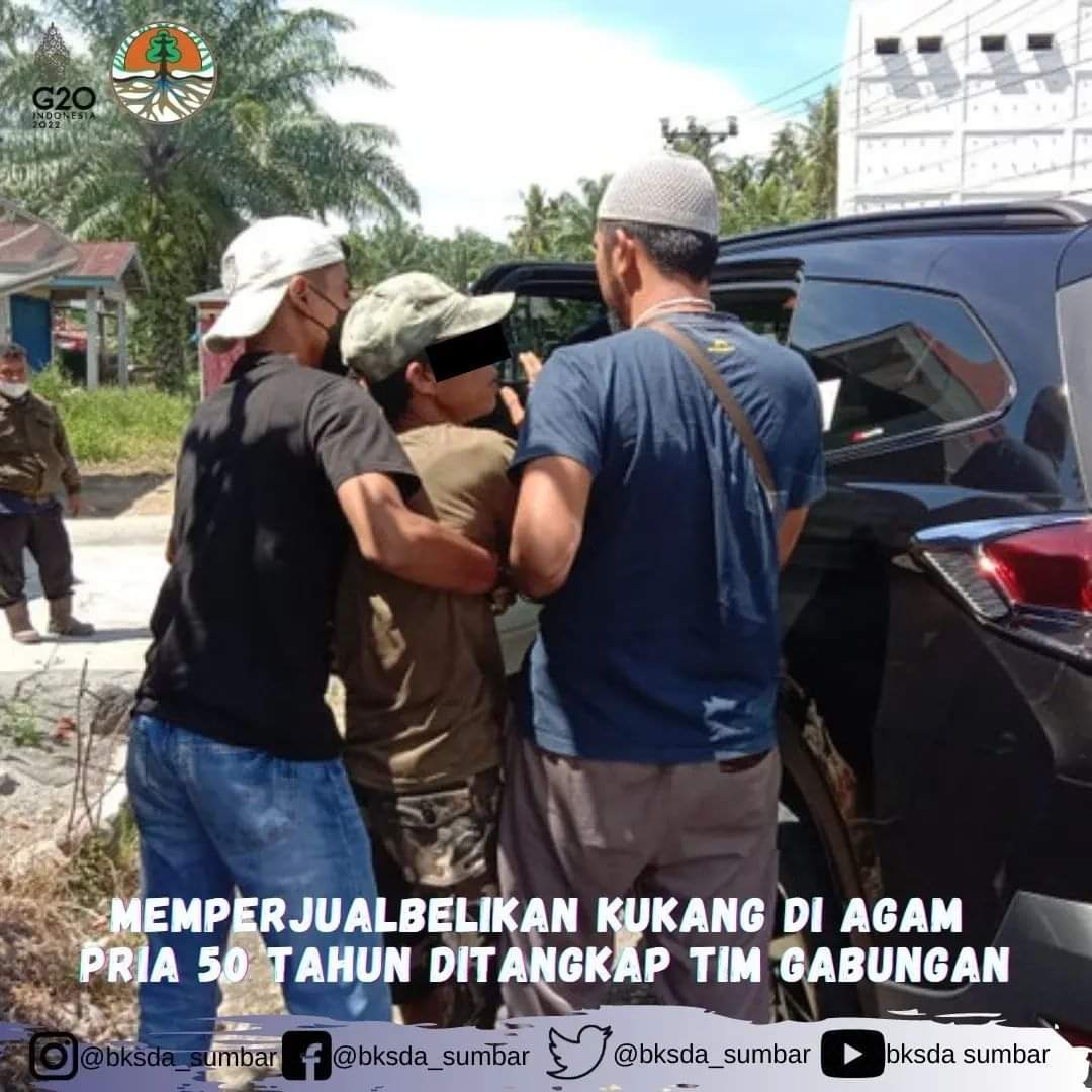 You are currently viewing Memperjualbelikan Kukang Di Agam Pria 50 Tahun Ditangkap Tim Gabungan