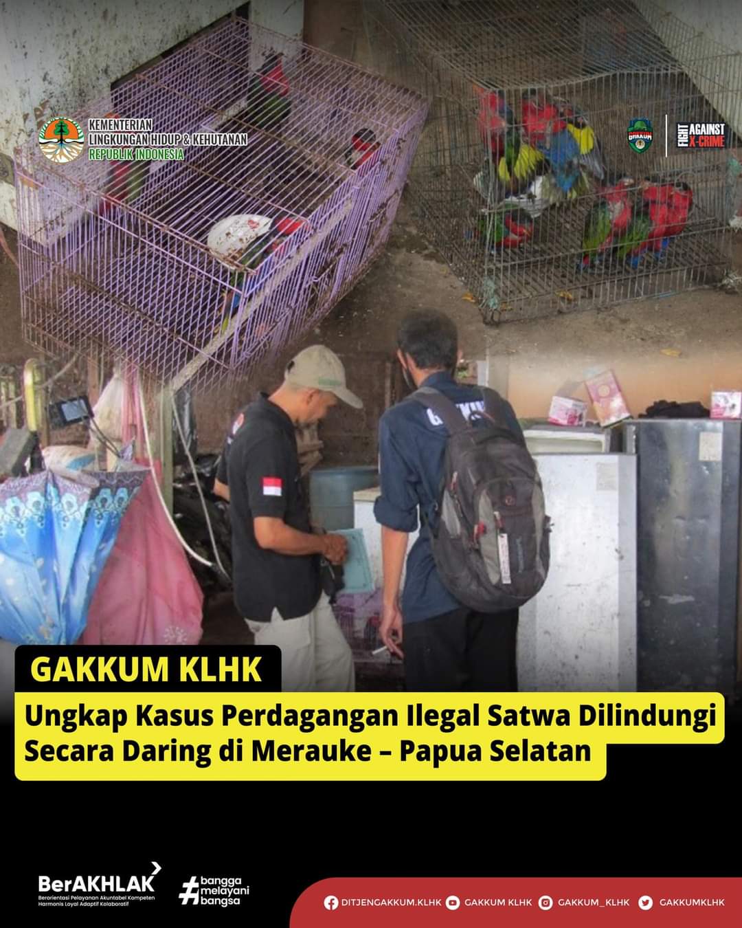 You are currently viewing GAKKUM KLHK Ungkap Kasus Perdagangan Illegal Satwa Dilindungi Secara Daring di Marauke-Papua Selatan
