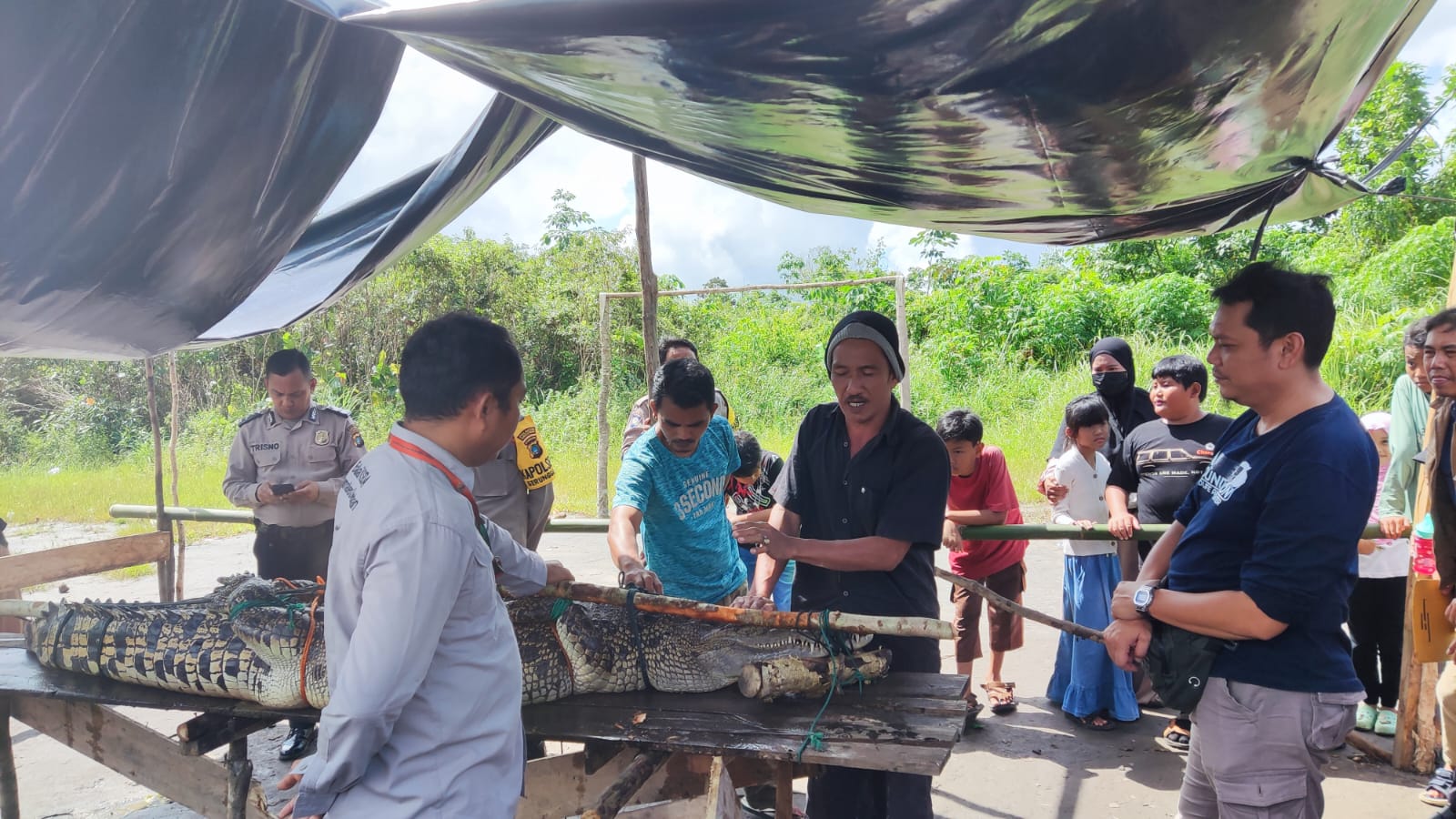 Read more about the article Alobi Foundation Berhasil Merescue Kembali Buaya di Sungai Salim